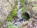 Foto 03