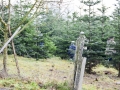 Foto 04