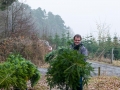 weihnachten_2016-14 weihnachten_2016-14