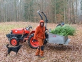 weihnachten_2016-34 weihnachten_2016-34
