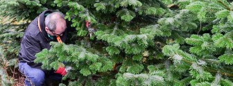 fi_weihnachten 2015 fi_weihnachten 2015