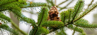 fi_weihnachtsgalerie 2016 fi_weihnachtsgalerie 2016