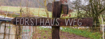 fi_weihnachten2017 Weihnachtsbaumschlagen 2017