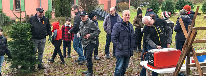 Weihnachtsbaumschlagen 2019